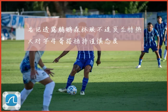 名记透露鹈鹕森林狼不追莫兰特热火对字母哥搭档持谨慎态度