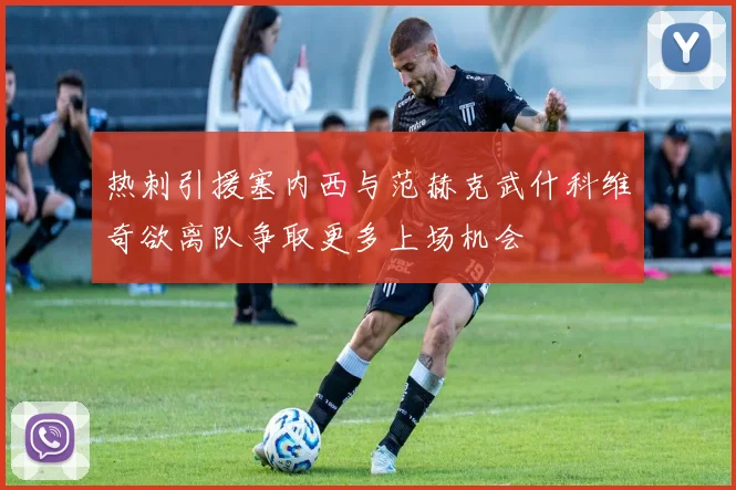 热刺引援塞内西与范赫克武什科维奇欲离队争取更多上场机会